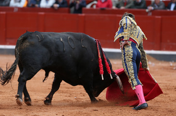 Toro y Torero