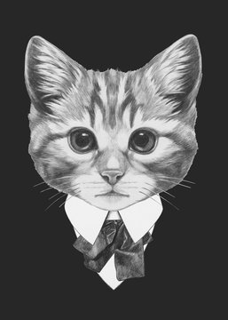 Portrait of Cat in suit. Hand drawn illustration.