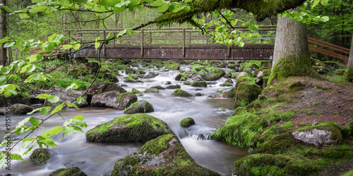 "Holzbrücke über Bachlauf im Wald" Stock photo and royaltyfree images