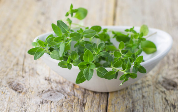 Fresh thyme in a white bowl closeup