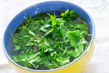Parsley leaves biological