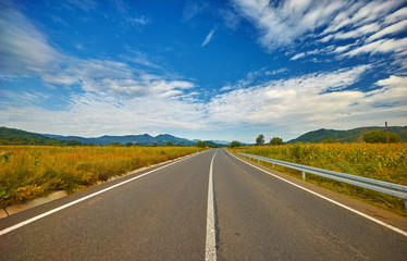 Asphalt Road Landscape