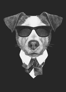 Portrait of Jack Russell dog in suit. Hand drawn illustration.