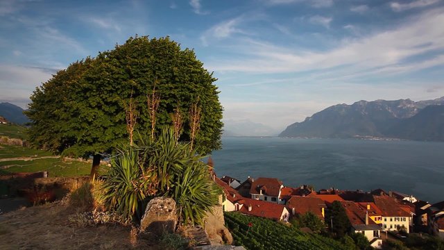 Vineyards of the Lavaux region over lake Leman (lake of Geneva),Switzerland