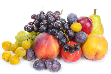 seasonal fruits, grapes, plums, pears isolated on a white backgr