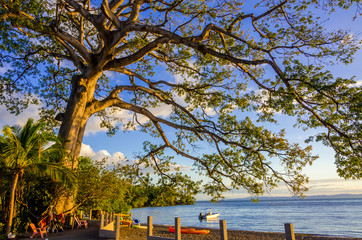 Island Ometepe with vulcano in Nicaragua
