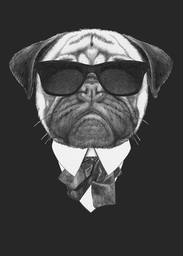 Portrait of Pug Dog in suit. Hand drawn illustration.