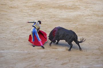 Bullfighter angers a bull