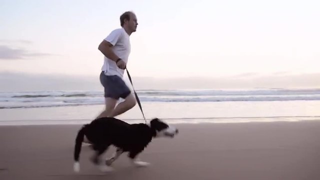 Happy man running dog on beach lifestyle steadicam shot