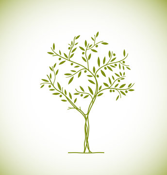 Olive tree icon. Vector element