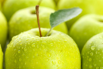 Ripe green apples close up