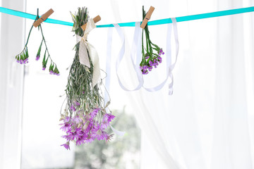 Various herbs and flowers drying on thong on light background