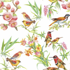 Watercolor Wild exotic birds on flowers seamless pattern on