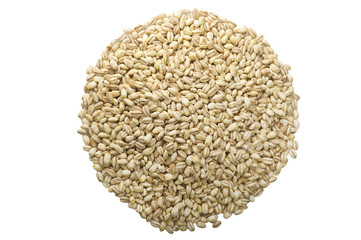 Group of Pearl barley close up on the white