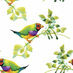 Watercolor Wild exotic birds on flowers seamless pattern on