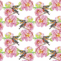 Plakaty  Akwarela dzikie ptaki egzotyczne na kwiaty wzór na