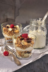 nuts and dried fruit with raspberry with yoghurt sauce 
