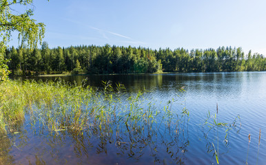 Fototapeta na wymiar Landscape lake Haukivesi. In the foreground grass.