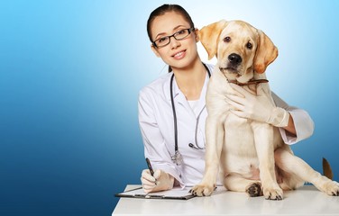Dog veterinarian.