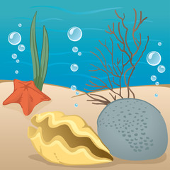Illustration environmental nature, the seabed environment
