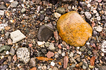 Common Rocks Rivers Edge Alaska Fossils Minerals Solid Rock