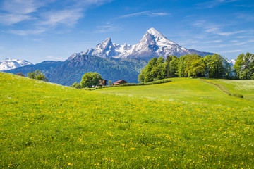 Idyllic landscape in the Alps with green meadows and farmhouse