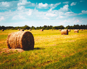 Beautiful landscape