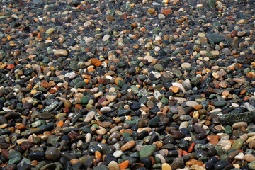 Wet pebbles on sea beach
