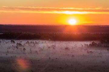 Fototapeta premium Sunrise in the swamp