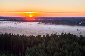 Sunrise in the swamp