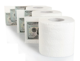 White rolls of toilet paper and dollar banknotes on light background