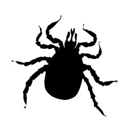 Black silhouette of tick 
Vector illustration isolated on white background
