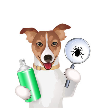 Dog with a magnifying glass,  tick and spray
Vector illustration isolated on white background
