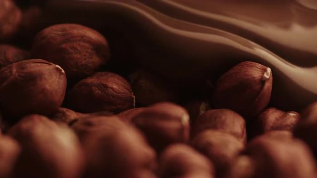 Real Liquid Chocolate Covers Hazelnuts