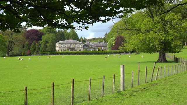 A beautiful English estate with fields and sheep in foreground.