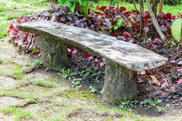  Wooden Bench with tree in the Garden