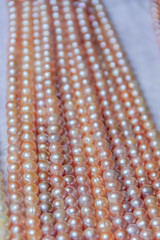 Fototapeta na wymiar Strings of pearls at the market