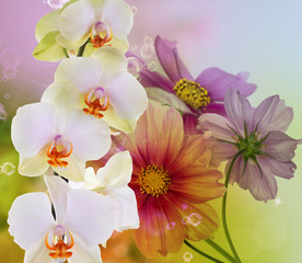Obrazy na Szkle  Kwiaty orchidei na abstrakcyjnym tle