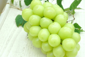  シャインマスカット 