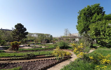 Fototapeta na wymiar Jardin des plantes 
