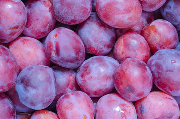 Plums background