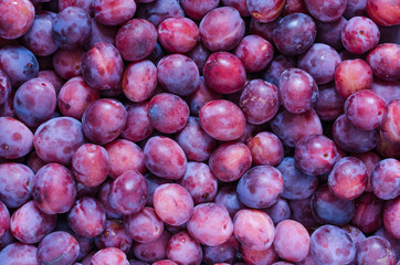 Plums background - 91613387