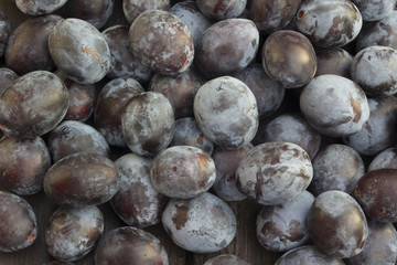 fresh plums