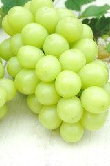 シャインマスカット