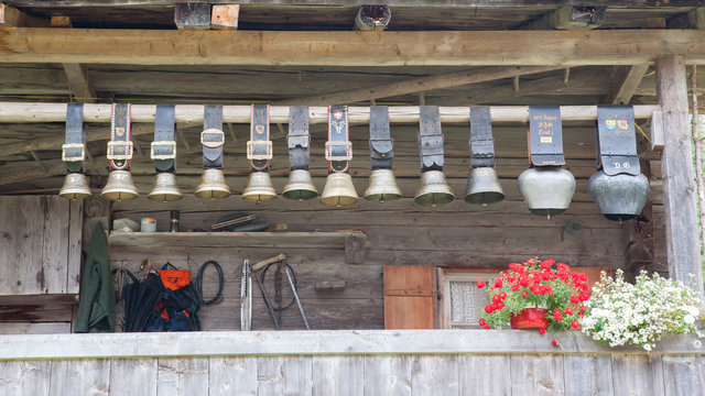 Fototapeta Swiss cowbells