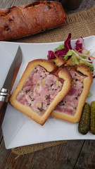 pâté en croute 18092015