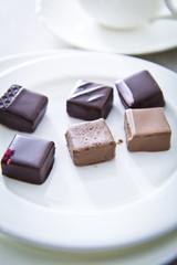 Handmade luxury chocolate on white plate