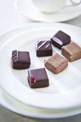 Handmade luxury chocolate on white plate