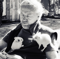 Old  man with a two little chinchillas