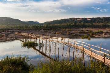 Bamboo bridge